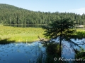 Großer Arbersee