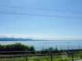 Der Bodensee